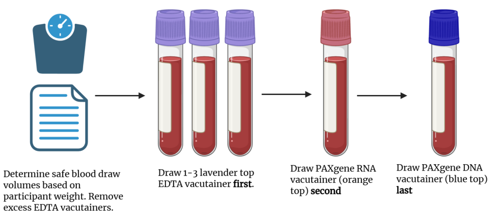 Phlebotomist infographic (2)