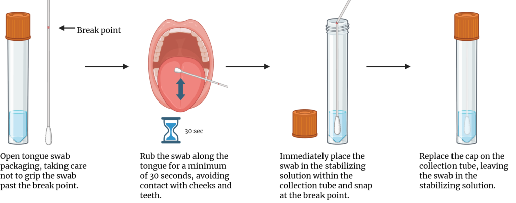 Tongue swab collection process