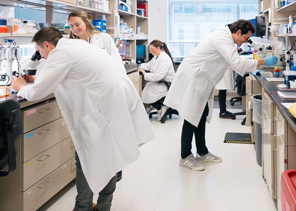 Group of scientists analyzing Down syndrome biological samples in the lab